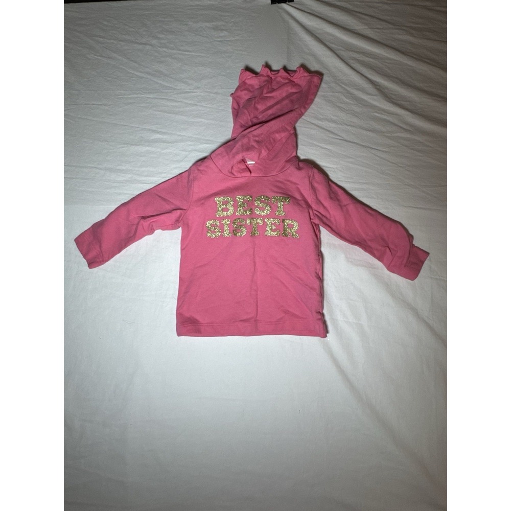 18month Pink Best Sister Hoodie with Dinosaur Hood for Girls